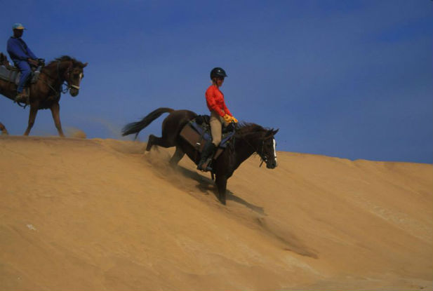 Horse riding on dune