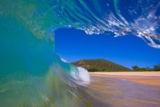 Day in the life of. . .