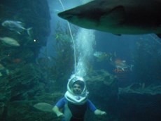 Staff Picks for winter sun getaways