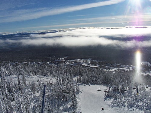 Big White Hamedog 500X375