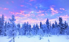 Ten facts about Lapland that you may not have known