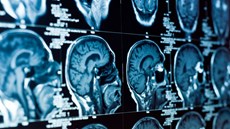 Grab a bargain - not more than you bargained for