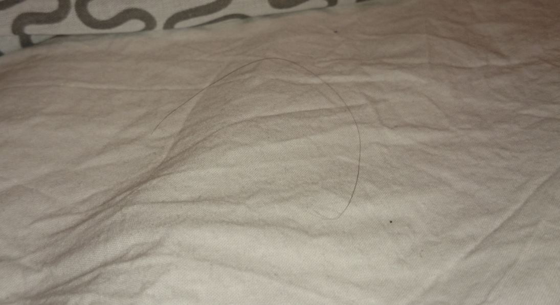 Hairs on duvet