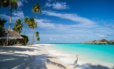 Tips and tricks for great holiday snaps