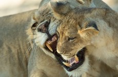 Responsible Travel reveal how to be an ethical tourist