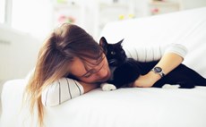 Women pine for pets on holiday - but all men want is their own bed, according to new study