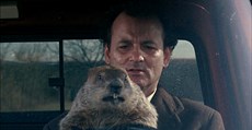 Groundhog day: Avoid making these holiday mistakes again and again