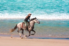 Saddle up for the holiday of a lifetime on horseback