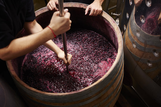 Grape stomping is one way to suppress your anger. Barcelona is a good place to give it a go