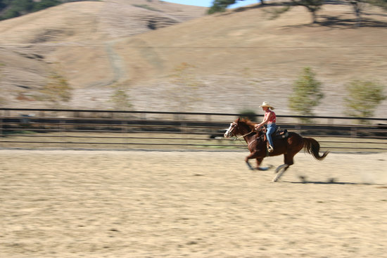 Care for a canter? Or maybe you'd prefer to go for a gallop? The Lone Star State is the best place for you!